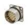 Connector: M27 | ZYLIN | socket | male | soldering | PIN: 21 | IP67 | 1mm2 image 1