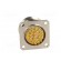 Connector: M27 | ZYLIN | socket | male | soldering | PIN: 26 | IP67 | 1mm2 image 5