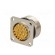Connector: M27 | ZYLIN | socket | male | soldering | PIN: 26 | IP67 | 1mm2 paveikslėlis 6