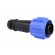 Connector: circular | plug | male | PIN: 7 | Buccaneer 900 | for cable image 8