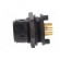 Connector: circular | socket | male | PIN: 10 | Buccaneer 4000 | THT image 3