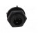 Connector: circular | socket | male | PIN: 3 | Buccaneer 400 | IP68 | 250V image 9