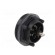 Connector: circular | socket | male | PIN: 7 | Standard Buccaneer® image 4