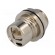 Connector: RJ45 | coupler | shielded | push-pull | Buccaneer 6000 image 1