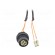 Fiber patch cord | PIN: 2 | multi mode duplex (MM) | bayonet | LC image 2