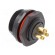 Socket | SP21 | male | PIN: 3 | IP68 | 10A | screw terminal | 500V | 1.5mm2 image 4