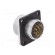 WS | socket | female | PIN: 12 | flange (4 holes),for panel mounting image 5