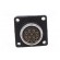 WS | socket | female | PIN: 12 | flange (4 holes),for panel mounting image 6