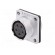 Socket | WS | female | PIN: 5 | flange (4 holes),for panel mounting image 3