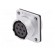 WS | socket | female | PIN: 7 | flange (4 holes),for panel mounting image 3
