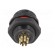 SP13 | socket | male | PIN: 9 | IP68 | 3A | soldering | for panel mounting paveikslėlis 5