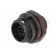 Socket | SP13 | male | PIN: 9 | IP68 | 3A | soldering | for panel mounting image 2
