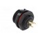 SP17 | socket | female | PIN: 3 | IP68 | soldering | 500V | 2mm2 | 10A image 4
