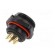 SP21 | socket | female | PIN: 5 | IP68 | soldering | 500V | 4mm2 | 30A paveikslėlis 6