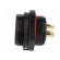 SP21 | socket | male | PIN: 3 | IP68 | soldering | 500V | 4mm2 | 30A | -25÷85°C paveikslėlis 3