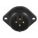SP21 | socket | male | PIN: 4 | IP68 | soldering | 500V | 4mm2 | 30A | -25÷85°C image 9