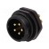 SP21 | socket | male | PIN: 5 | IP68 | screw terminal | 500V | 1.5mm2 | 30A image 1