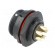 SP21 | socket | male | PIN: 5 | IP68 | soldering | 500V | 4mm2 | 30A | -25÷85°C paveikslėlis 4
