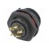 SP21 | socket | male | PIN: 5 | IP68 | soldering | 500V | 4mm2 | 30A | -25÷85°C paveikslėlis 6