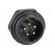 Socket | SP21 | male | PIN: 5 | IP68 | 30A | soldering | 500V | 4mm2 | -25÷85°C image 9