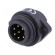 WA22 | socket | male | PIN: 7 | 6+PE | IP67 | 10A | soldering | 250V фото 2