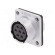 WS | socket | female | PIN: 7 | flange (4 holes),for panel mounting image 1