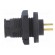 Connector: circular | EN2 | socket | male | THT | for panel mounting image 3