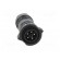 Connector: circular | plug | for cable | PIN: 5 | male | with contacts image 9