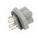 Connector: rectangular | G | socket | female | PIN: 4 | tinned | IP65 | grey image 7
