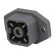 Connector: rectangular | G | socket | male | PIN: 4 | tinned | IP65 | grey image 1