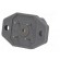 Connector: rectangular | G | socket | male | PIN: 4 | tinned | IP65 | grey image 6