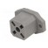 Connector: square | Series: G | socket | male | PIN: 4 | tinned | IP65 | 250V image 6