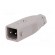 Connector: rectangular | ST | plug | male | PIN: 2 | tinned | IP54 | 16A image 2