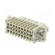 Connector: HDC | contact insert | female | DD | PIN: 25 | 25+PE | crimped paveikslėlis 6
