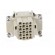 Connector: HDC | contact insert | female | DDD | PIN: 24 | 24+PE | crimped image 9