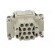 Connector: HDC | contact insert | female | DEE | PIN: 10 | 10+PE | crimped image 9