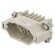 Connector: HDC | contact insert | male | DD | PIN: 15 | 15+PE | size D10A image 1