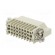 Connector: HDC | contact insert | male | DD | PIN: 25 | 25+PE | size D16A image 6