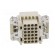 Connector: HDC | contact insert | male | DDD | PIN: 24 | 24+PE | size D6B image 5