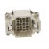 Connector: HDC | contact insert | male | DDD | PIN: 24 | 24+PE | size D6B image 9