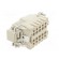 Connector: HDC | contact insert | male | DE | PIN: 10 | 10+PE | size D10B image 4