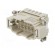 Connector: HDC | contact insert | male | DE | PIN: 10 | 10+PE | size D10B image 2