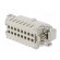Connector: HDC | contact insert | male | DE | PIN: 16 | 16+PE | size D16B image 6