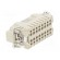 Connector: HDC | contact insert | male | DE | PIN: 16 | 16+PE | size D16B image 4