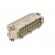 Connector: HDC | contact insert | male | DE | PIN: 24 | 24+PE | size D24B image 8