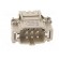 Connector: HDC | contact insert | male | DE | PIN: 6 | 6+PE | size D6B image 9