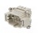 Connector: HDC | contact insert | male | DE | PIN: 6 | 6+PE | size D6B image 2