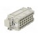 Connector: HDC | contact insert | male | DEE | PIN: 32 | 32+PE | size D16B paveikslėlis 4
