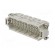 Connector: HDC | contact insert | male | DEE | PIN: 46 | 46+PE | size D24B image 2