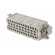 Connector: HDC | contact insert | male | DEE | PIN: 46 | 46+PE | size D24B image 6